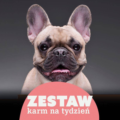 Mokra karma dla psa do 10 kg na 7 dni Dolina Noteci Superfood 15 x 300 g