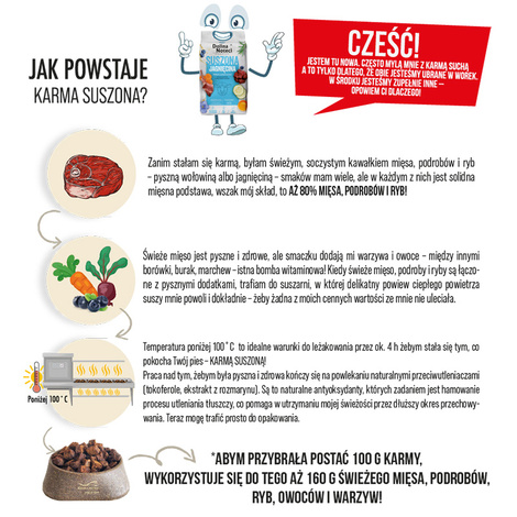 Karma suszona dla psa Dolina Noteci Premium gęś 3 kg