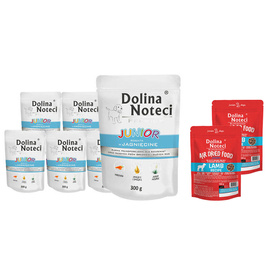 Mokra karma dla psa junior Dolina Noteci Premium bogata w jagnięcinę zestaw 10 x 300 g + Superfood danie z jagnięciny Junior 2 x 150 g gratis